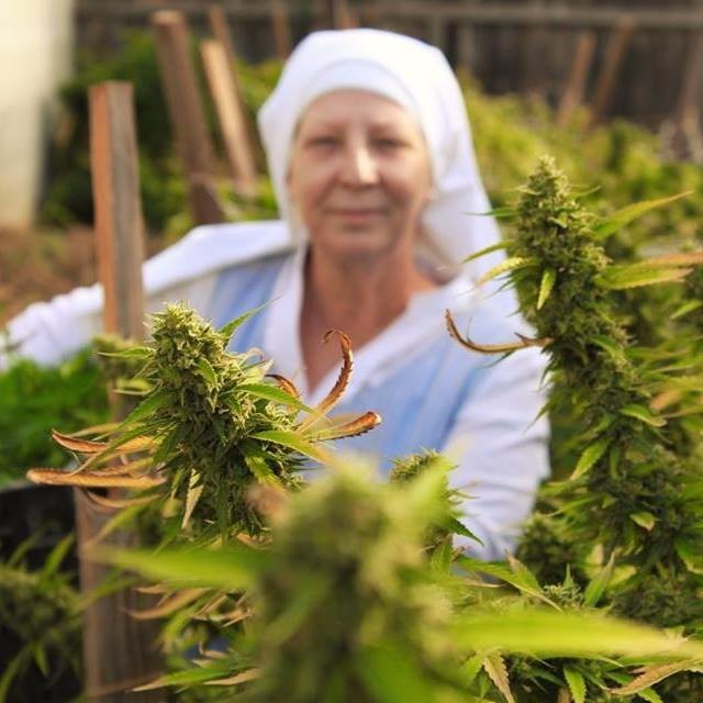 Cannabis Nun, Sister Kate of Sisters of the Valley