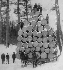 lumber-pile-photo